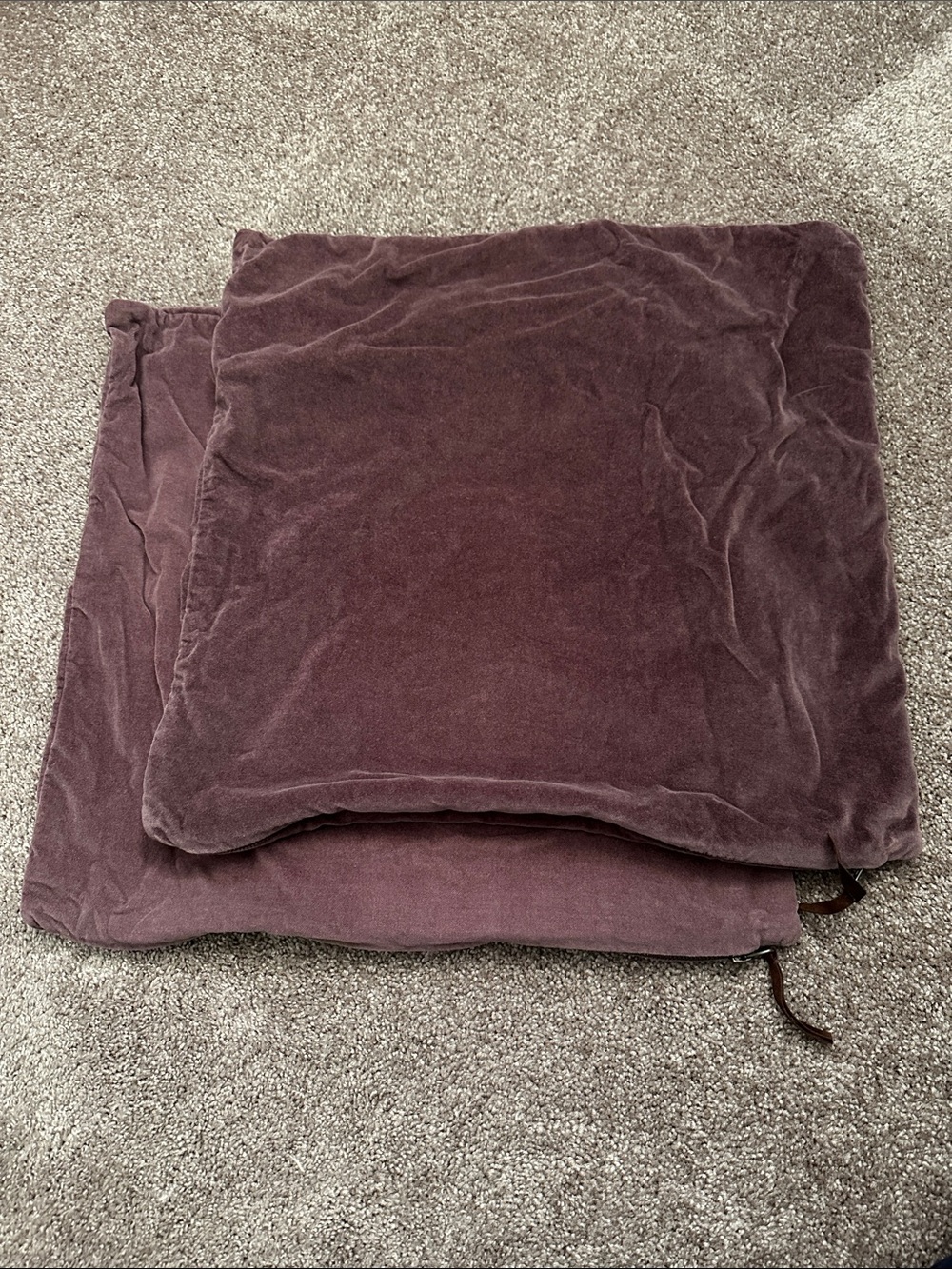 Pottery Barn Velvet Pillow Covers Set of 2